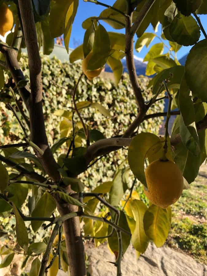 Castione AndevennoAgriturismo Cavria住宿加早餐旅馆 外观 照片