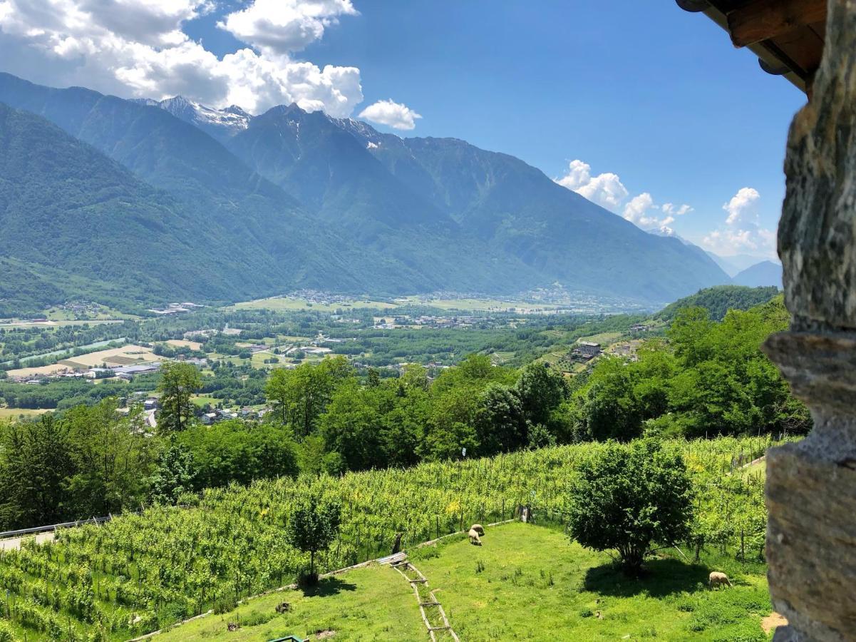 Agriturismo Cavria Castione Andevenno 外观 照片